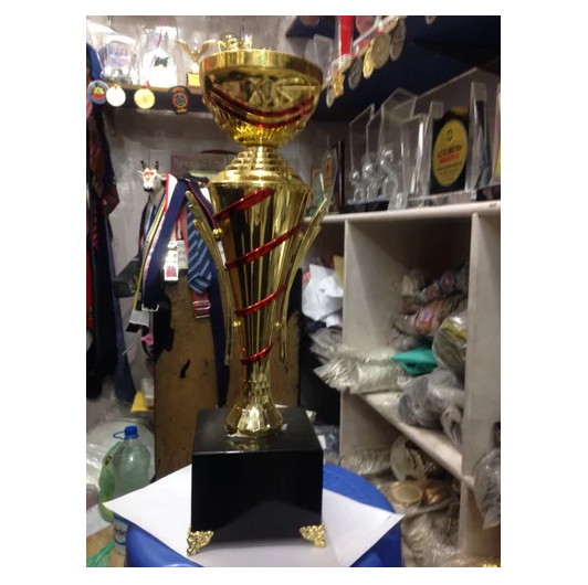 School Trophy Manufacturers In India