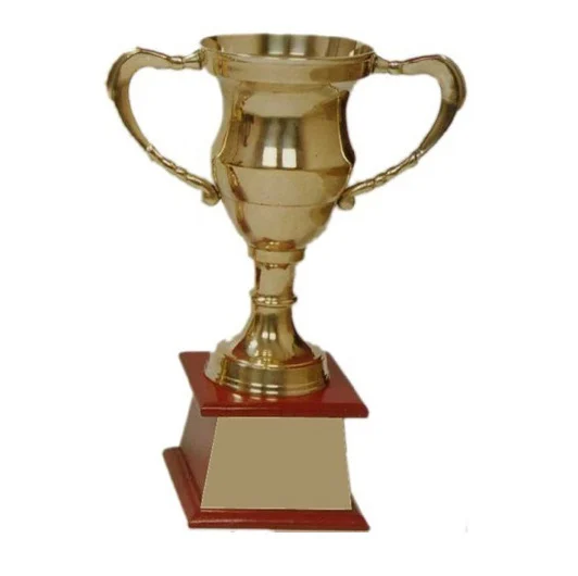 School Trophy Manufacturers In India