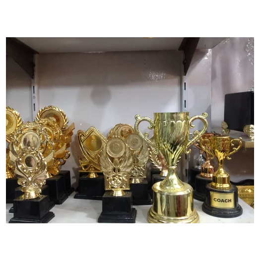 School Trophy Manufacturers In India