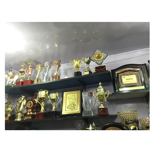 School Trophy Manufacturers In India