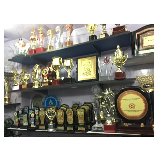 School Trophy Manufacturers In India